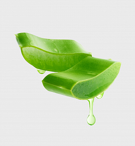 Сок алоэ вера ﻿(Aloe Vera Leaf Juice)