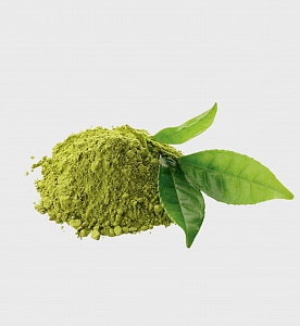 Экстракт зеленого чая (Green Tea Ferment)